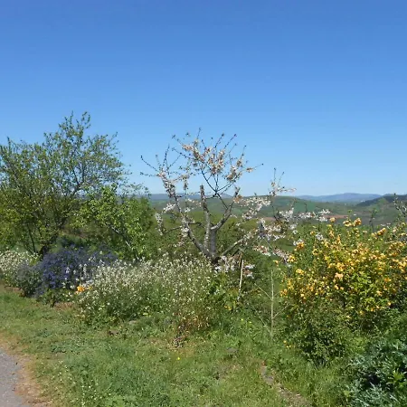 D'hotes Des Monts Bed & Breakfast Saint-Izaire