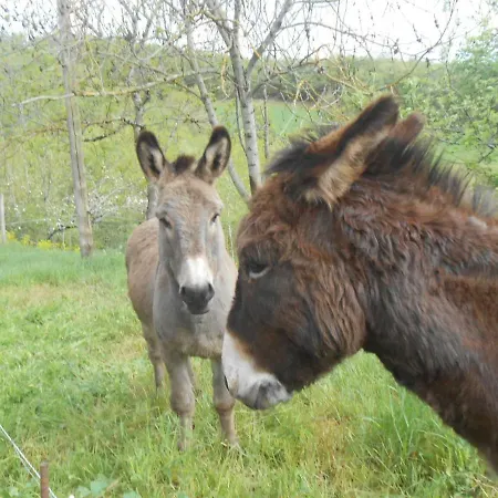 Bed and Breakfast D'hotes Des Monts 3*